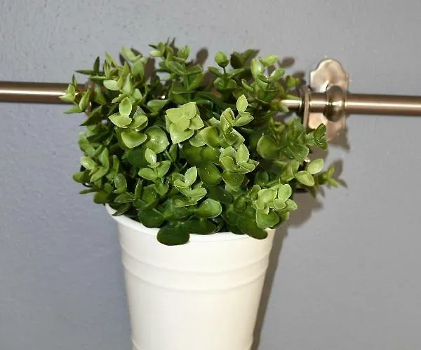 Апартаменты Torri Centro